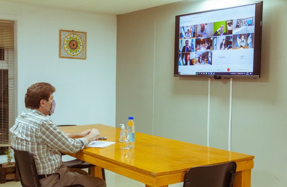 Melella participó de un encuentro con la Ministra de Salud de Nación y los gobernadores de la Patagonia