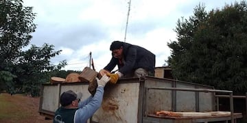 Por las bajas temperaturas el municipio reparte leña gratis en Puerto Esperanza.