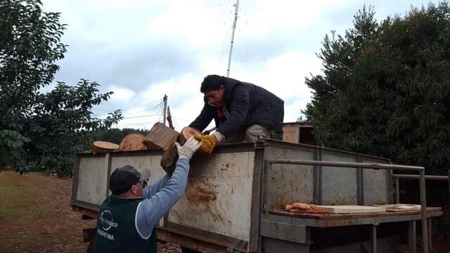 Por las bajas temperaturas el municipio reparte leña gratis en Puerto Esperanza.