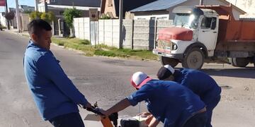 En Punta Alta comenzó la colocación de 20 lomos de burro