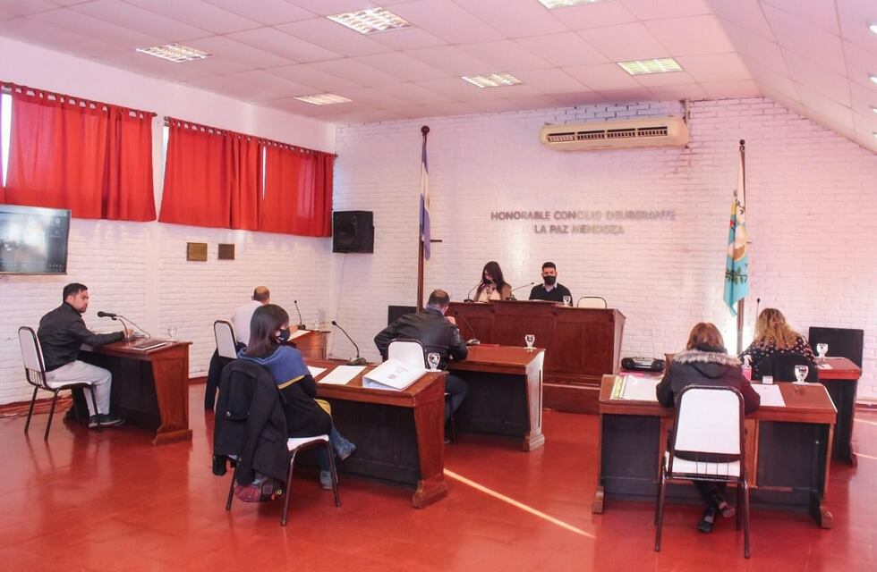 PASO 2021: conocé a los precandidatos a concejales para La Paz