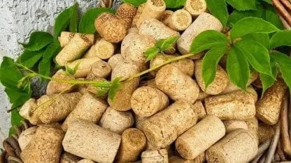 para qué sirven los corchos en las macetas