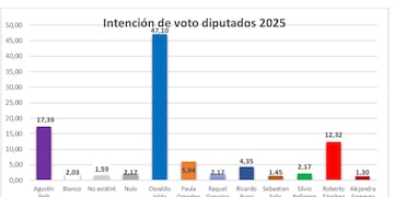 La proyección más probable es un reparto 3–1, con un piso estable de 400 mil votos para el oficialismo y una oposición debilitada. (Imagen: Captura Grupo Borgia)