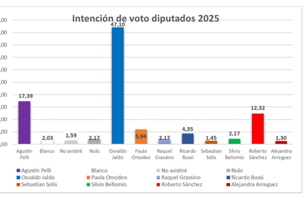 Un estudio del Grupo Borgia anticipa un cómodo triunfo del peronismo en Tucumán