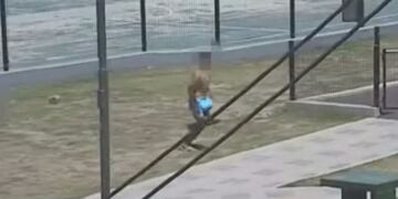 Uno de los menores de edad intentando escapar de la Policía.