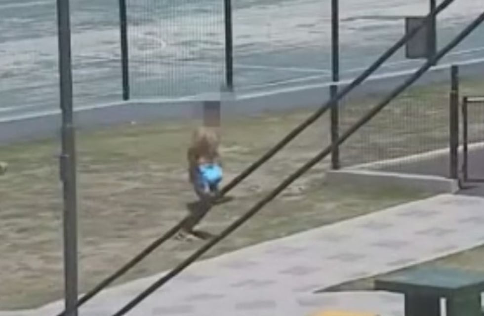 Video: la extensa persecución a dos motochorros adolescentes en Córdoba