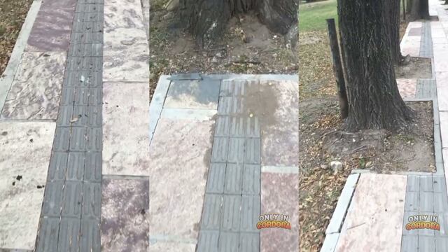 La vereda tiene incontables árboles que obstaculizan el paso.