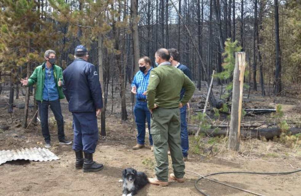Allanan la casa de un sospechoso de haber causado el incendio en El Bolsón