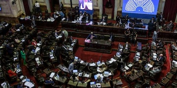 Diputados debate el Impuesto a la Riqueza. (Foto: Federico López Claro)