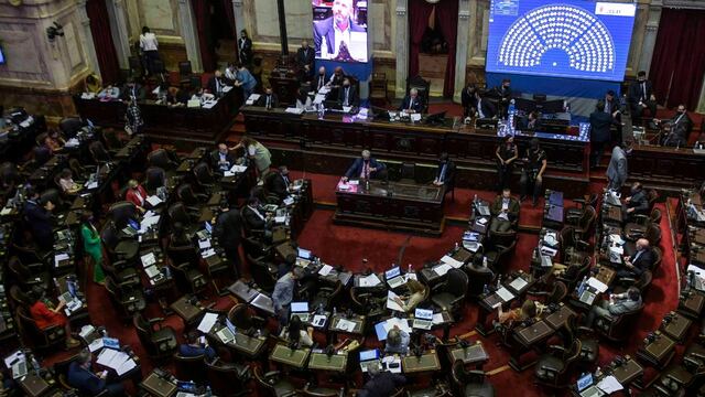 Diputados debate el Impuesto a la Riqueza. (Foto: Federico López Claro)