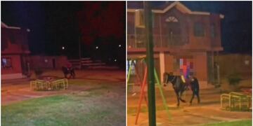 Así luce el hombre disfrazado de "Spider Man" que lleva los pedidos a caballo.