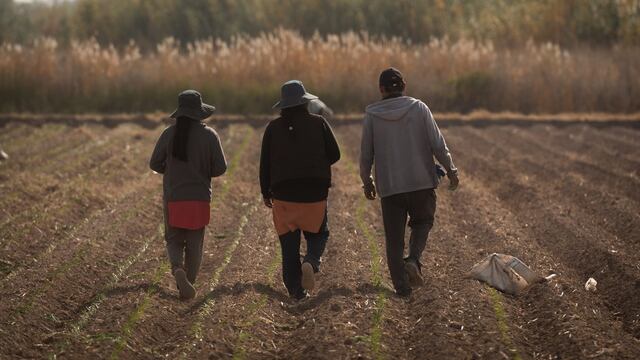 No darle la espalda al campo para tener en cuenta 
 
Foto: Ignacio Blanco / Los Andes