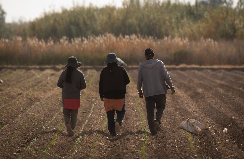 Los 7 mitos sobre el campo