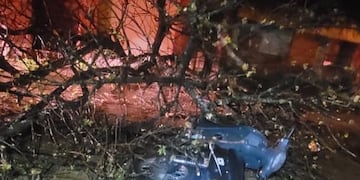 Arduo trabajo de Bomberos Voluntarios de Arroyito por el temporal de viento y lluvia