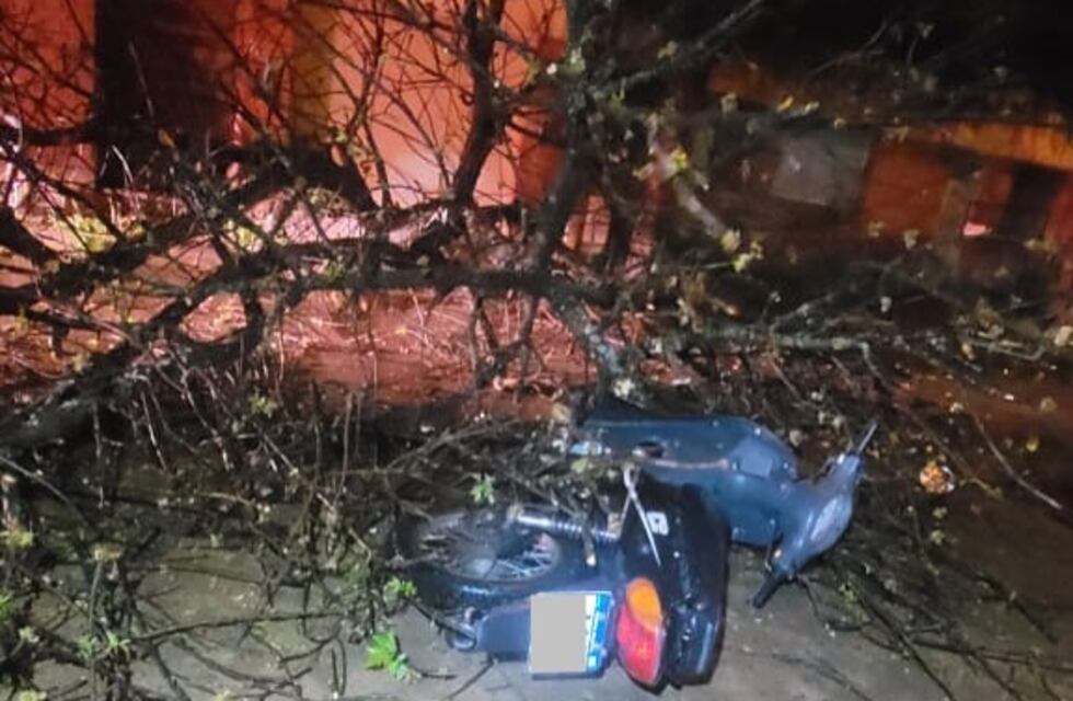 Arroyito: una mujer sufrió heridas graves tras chocar con su motocicleta un árbol caído