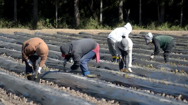 Un predio del Ministerio de Defensa situado en Perico fue reasignado a la Secretaría de Agricultura Familiar de la Nación.