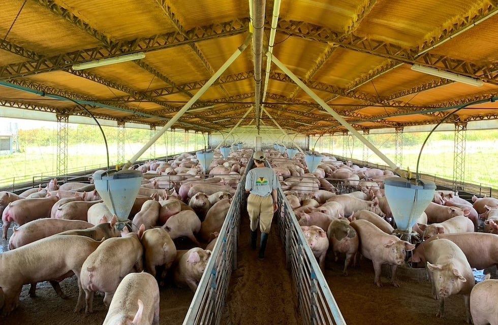 Realizaron en Tandil un encuentro entre productores de cerdos, frutillas y hortícolas