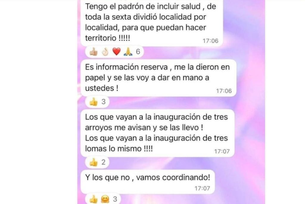 Chat de la concejala bahiense Franca Grippo, coordinadora de La Libertad Avanza en la Sexta Sección Electoral. Publicado por La Nueva de Bahía Blanca