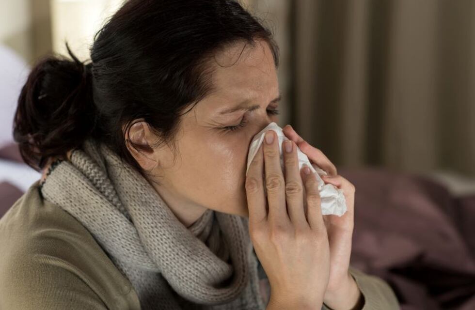 Reporte Covid-19 para San Luis, del 13 al 19 de noviembre