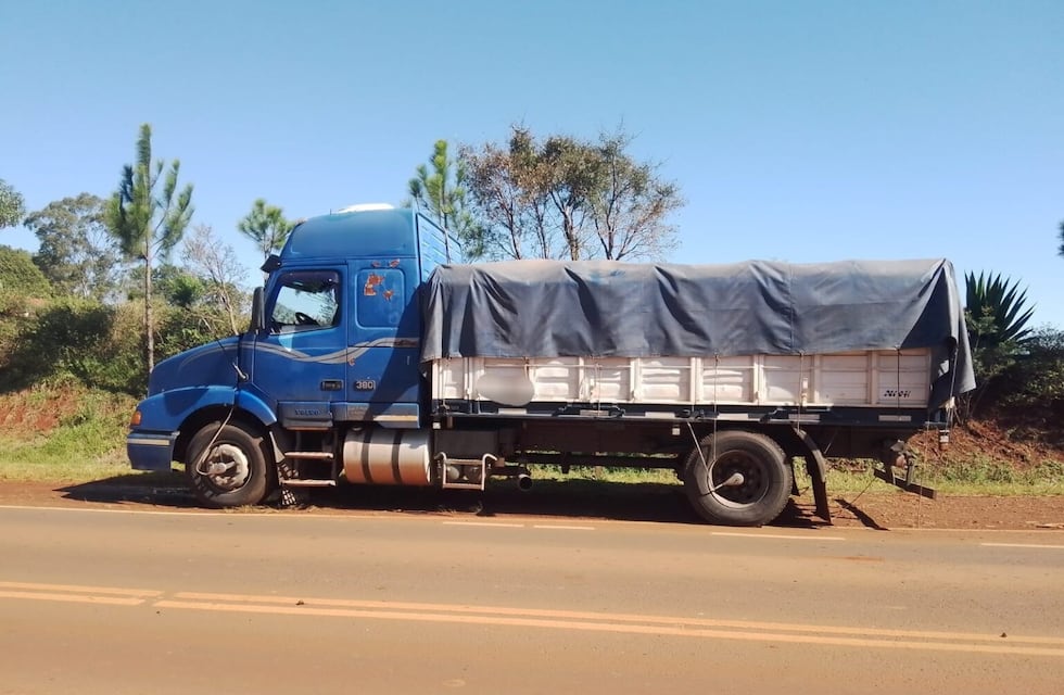 Incautan camión con soja no declarada en San Vicente