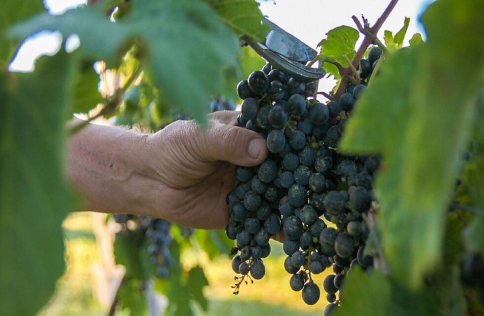 Lanzan el Programa de Incentivo para Inversiones Turísticas de Pequeños Prestadores