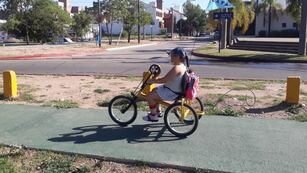 Inseguridad que indigna: le robaron la bicicleta adaptada a una nena de 11 años (Gentileza Andrés Oliva).