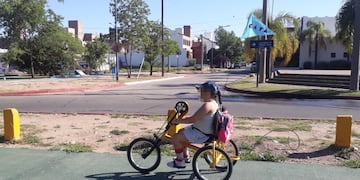 Inseguridad que indigna: le robaron la bicicleta adaptada a una nena de 11 años (Gentileza Andrés Oliva).