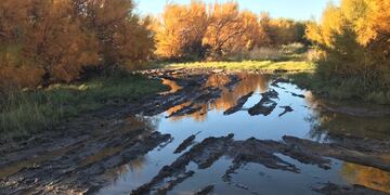 Piden a ABSA urgente solución a pérdidas de agua en el distrito.