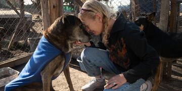 Ella es Rousi, quien necesita ayuda para construir su nuevo refugio de perros callejeros.