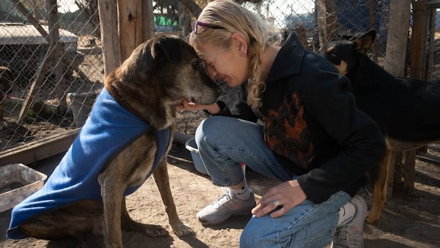 Ella es Rousi, quien necesita ayuda para construir su nuevo refugio de perros callejeros.