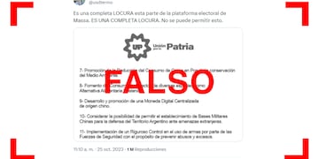 Es falso que la plataforma electoral de Unión por la Patria propone “reducir el consumo de carne y fomentar el consumo de insectos”.
