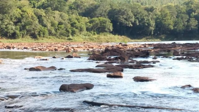 De milagro, kayakistas salvaron a dos niños en Eldorado.