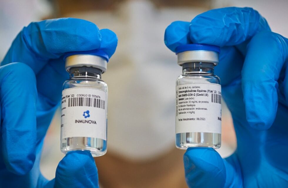 Mendoza comenzará a utilizar suero equino hiperimune para tratar pacientes de covid-19