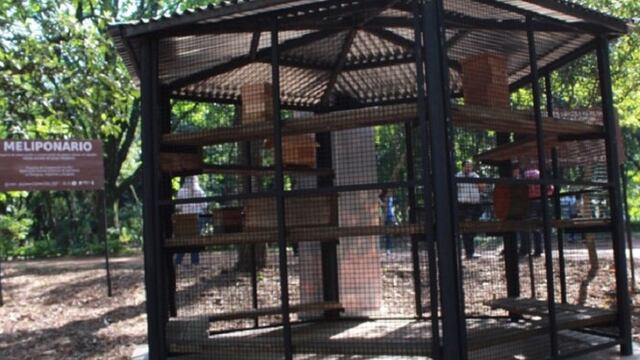 Capioví será sede de la primera Fiesta Provincial de la Meliponicultura.