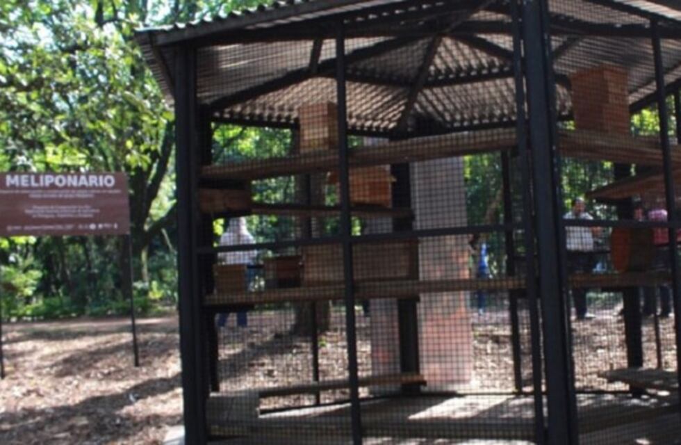 Capioví será sede de la primera Fiesta Provincial de la Meliponicultura