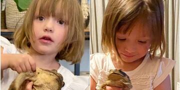 Jazmín ama a los animales y protege a los sapos que aparecen en el jardín de su casa.