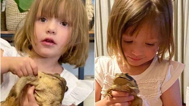 Jazmín ama a los animales y protege a los sapos que aparecen en el jardín de su casa.