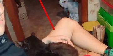 Quiso fotografiar a su gato dormido y terminó captando una imagen aterradora