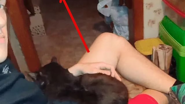 Quiso fotografiar a su gato dormido y terminó captando una imagen aterradora