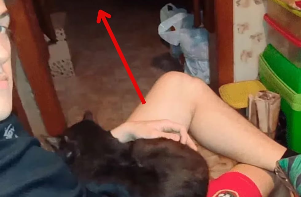 Sacó una foto a su gato, pero vio algo escalofriante al mirarla más de cerca: ¿qué es eso?