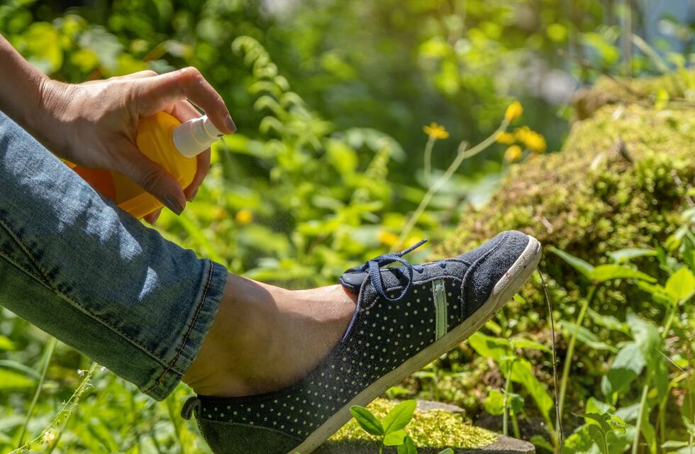 Salud pública: se firmó un importante convenio que permitirá mejorar la prevención del dengue