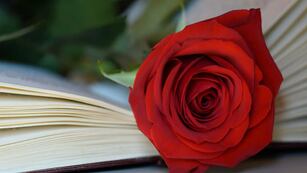 Día del Libro: por qué cada 23 de abril se regala un libro y una rosa