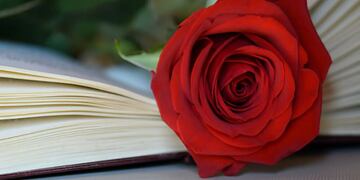 Día del Libro: por qué cada 23 de abril se regala un libro y una rosa