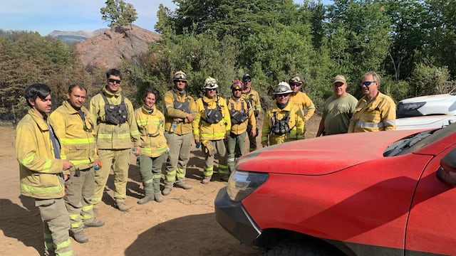 Incendio. Continúa el trabajo de los bomberos cordobeses en el parque Nacional Los Alerces, en Chubut. (Gobierno de Córdoba)
