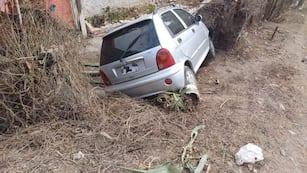 Cayó con su auto en un patio