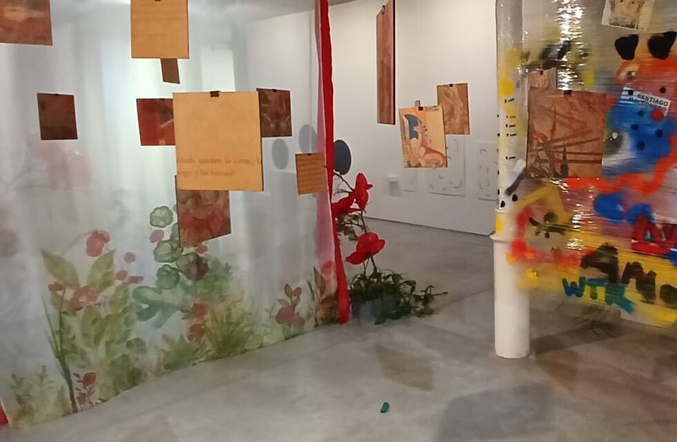 El Museo Municipal de Arte inaugura dos muestras