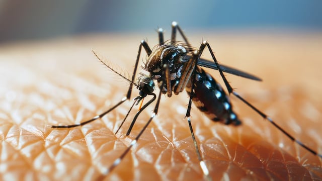 Reaparecieron los casos de dengue en Córdoba: son dos estudiantes de la misma facultad.