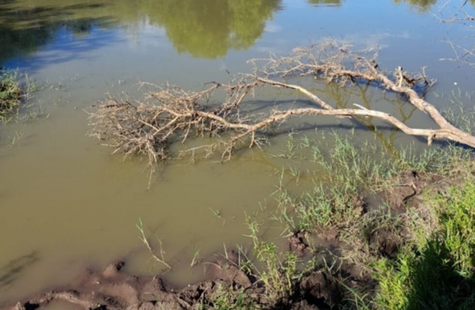 Una niña de 2 años perdió la vida en un campo de San Luis