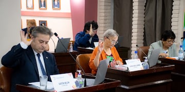 El Concejo Deliberante de San Salvador de Jujuy aprobó un próximo aumento del precio del boleto de colectivos, que pasará a costar $950.