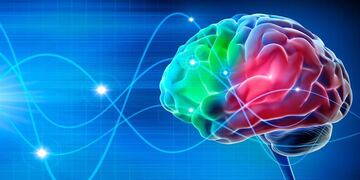 Charla sobre Neurociencia y Educación en Cresta